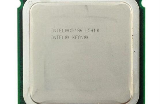 491310-L21