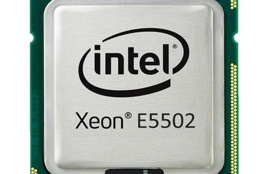 495920-L21