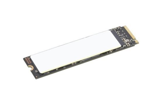 4XB1M86955