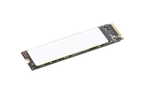 4XB1M86956