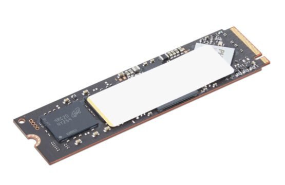 4XB1T87555