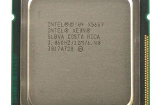 618883-L21