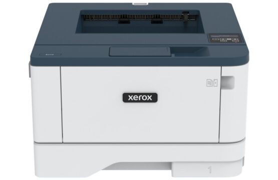 B310_DNI