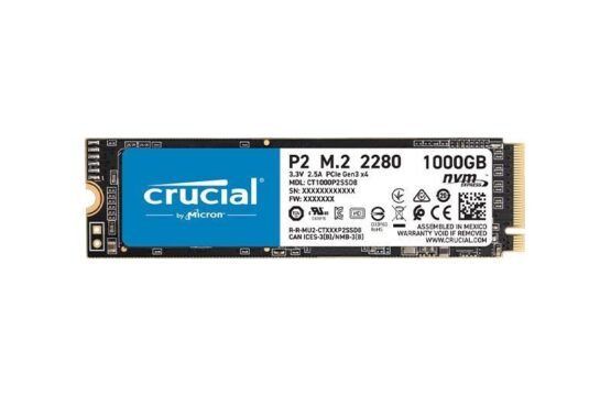 CT1000P2SSD8