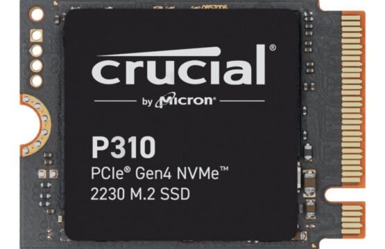 CT1000P310SSD2