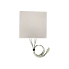 FANT-08ABGN-1213-D-R