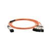 FG-CABLE-SR10-SFP5