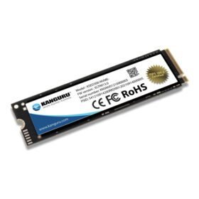 KSED300-NVME-500G