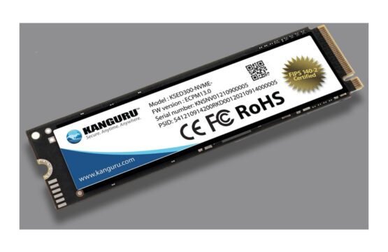KSED300-NVME-500GB