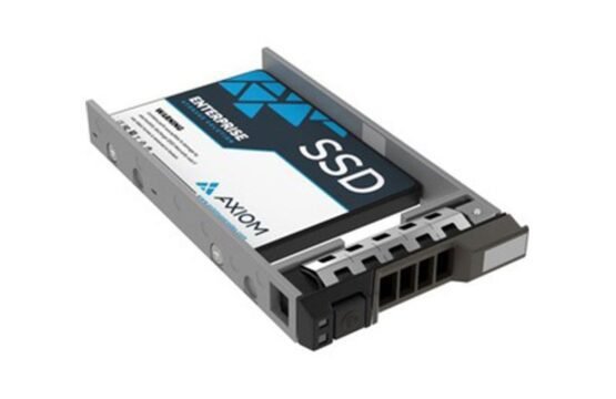 SSDEV10DL960-AX
