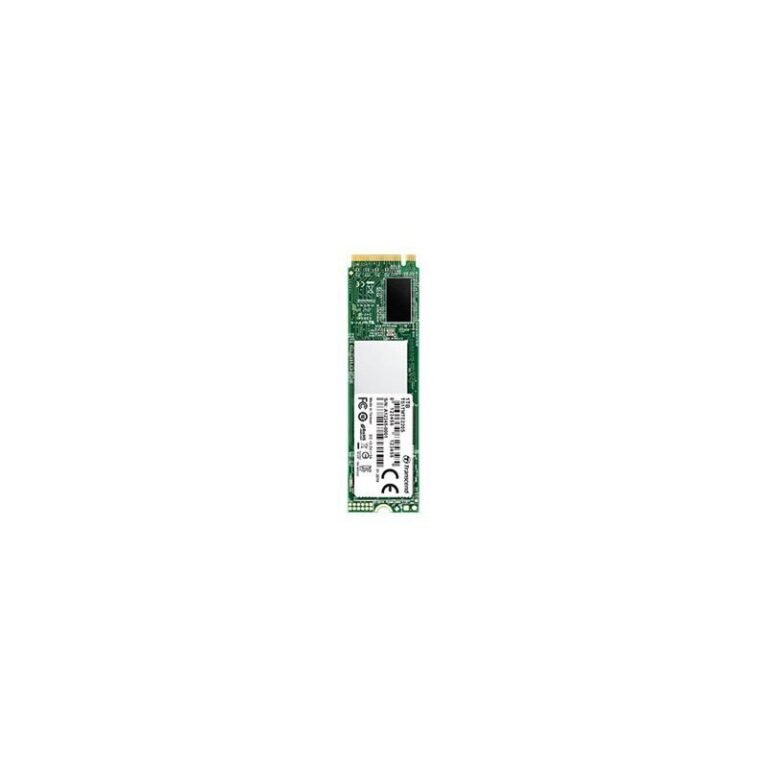 TS256GMTE220S