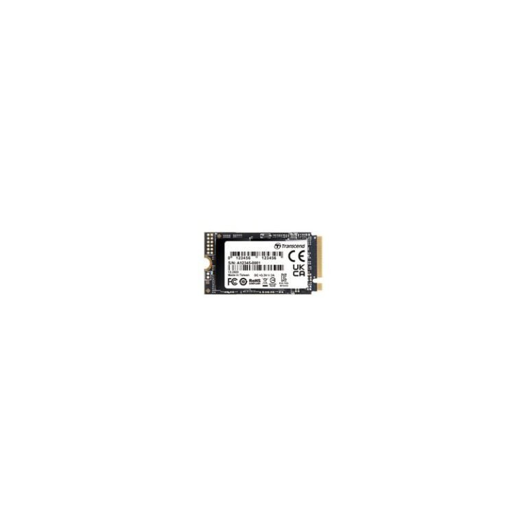 TS256GMTE410S