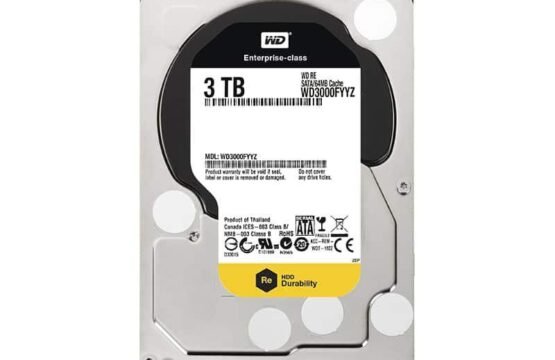 WD3000FYYZ
