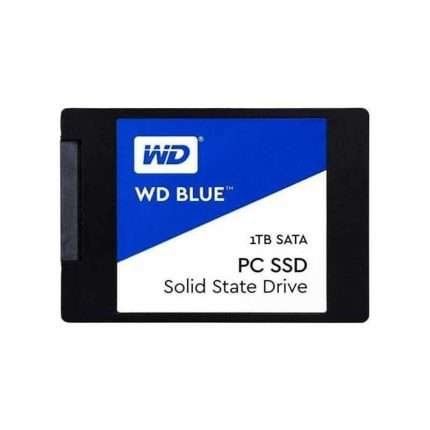 WDS100T1B0A-00H9H0