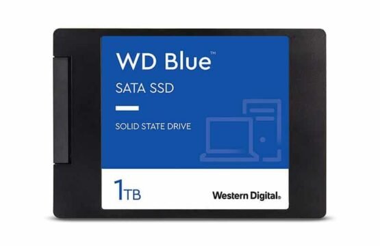 WDS100T1B0A