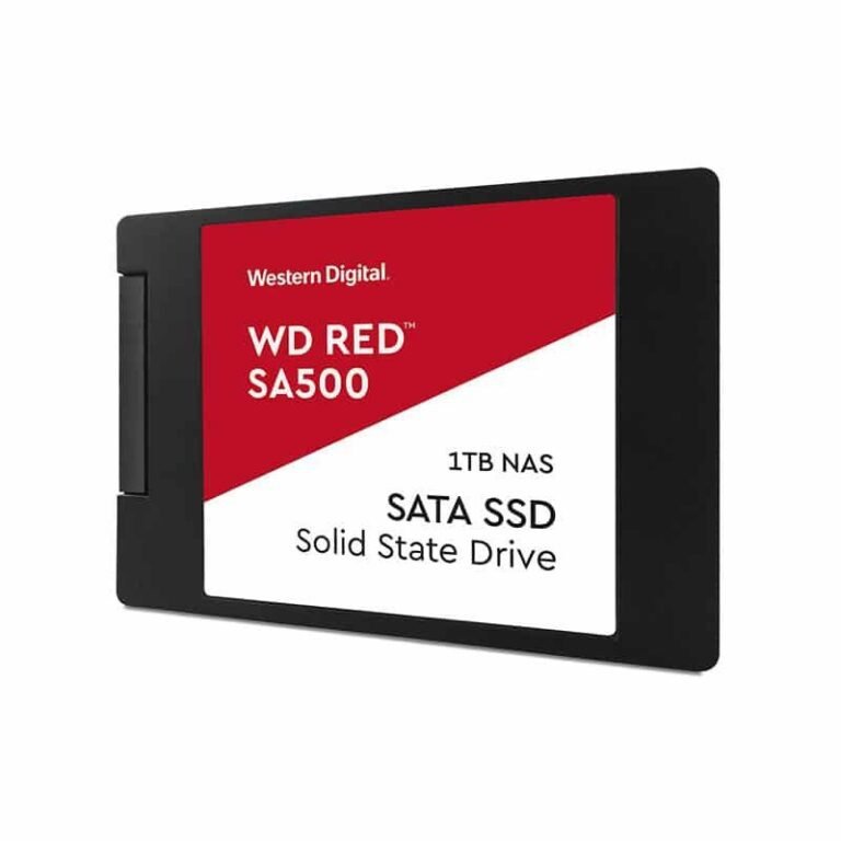WDS100T1R0A
