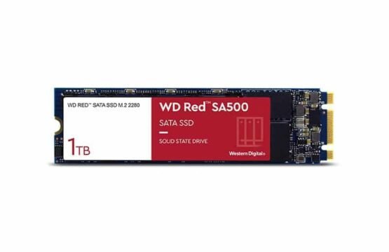 WDS100T1R0B
