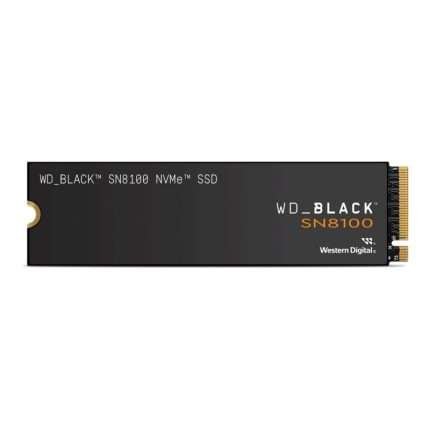 WDS100T1X0M-00CMT0