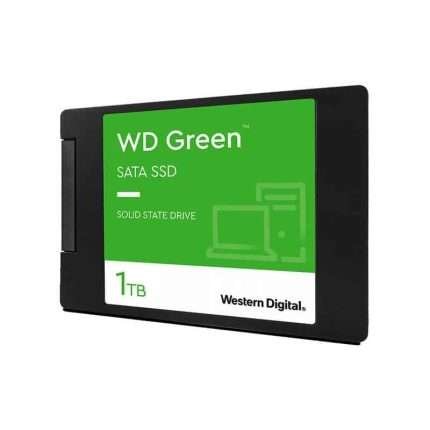 WDS100T2G0A