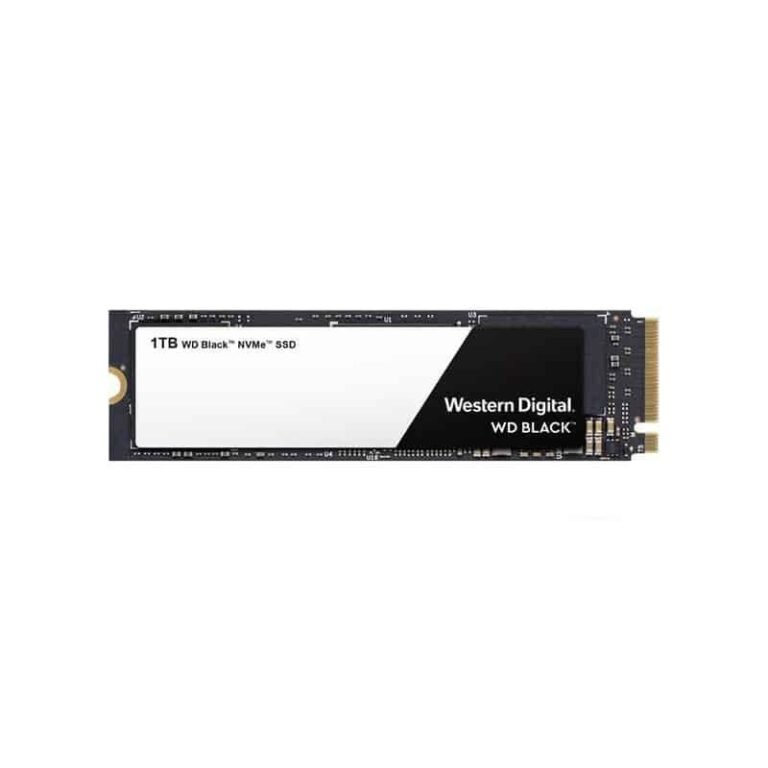 WDS100T2X0C