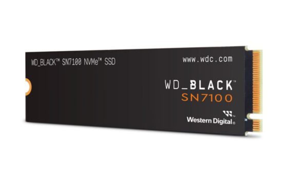 WDS100T4X0E-00CJA0