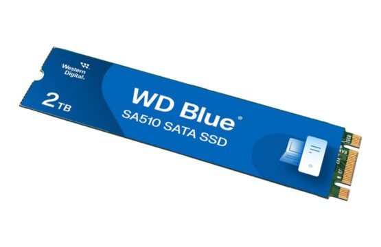 WDS200T3B0B