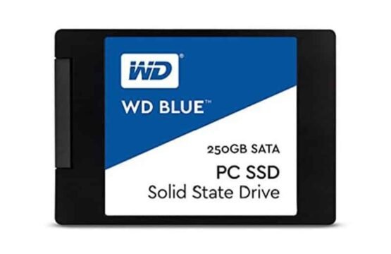 WDS250G1B0A