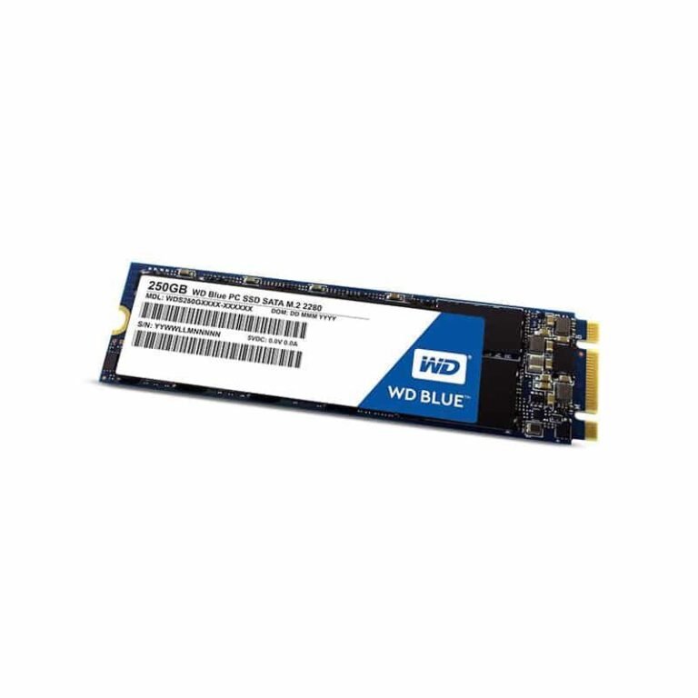 WDS250G1B0B