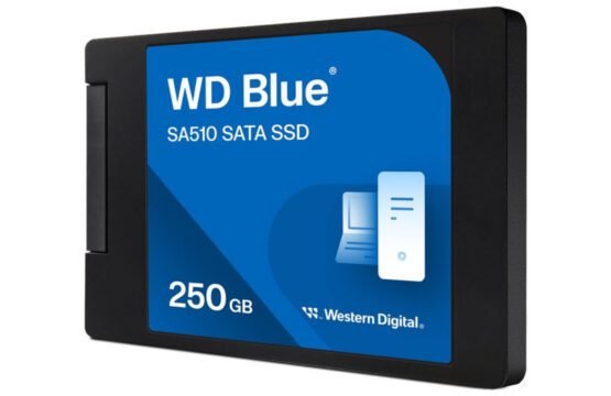WDS250G3B0A-00AXR0