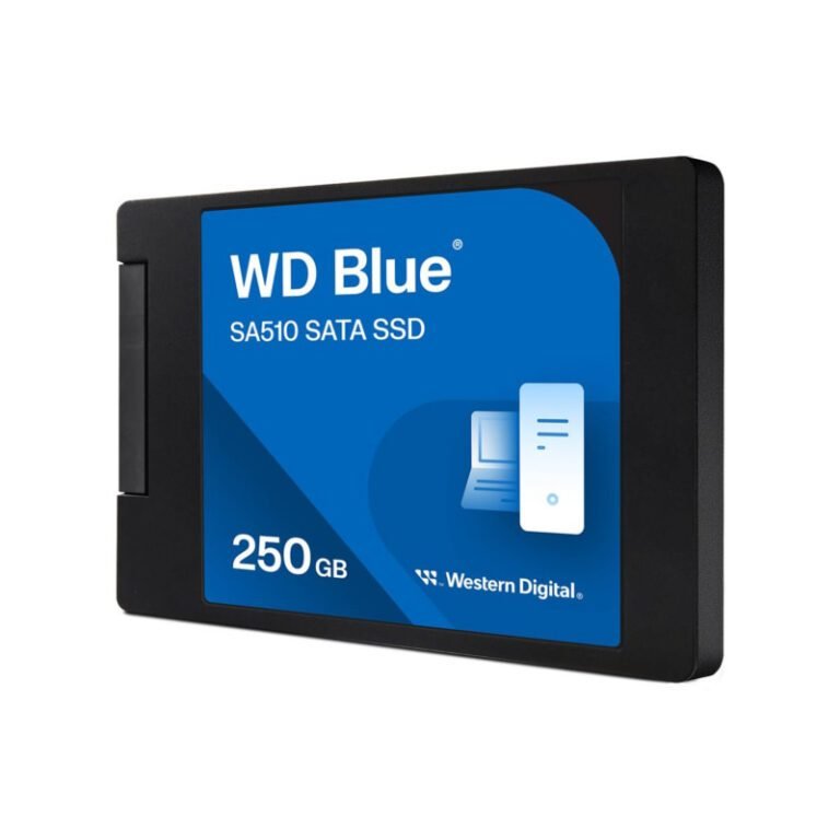 WDS250G3B0A-00AXR0