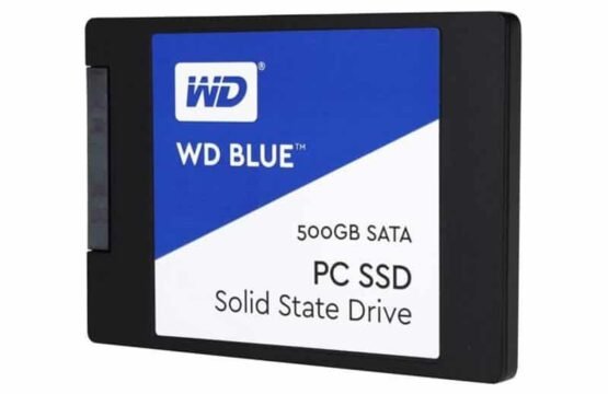WDS500G1B0A
