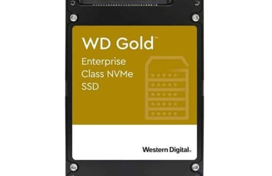 WDS960G1D0D
